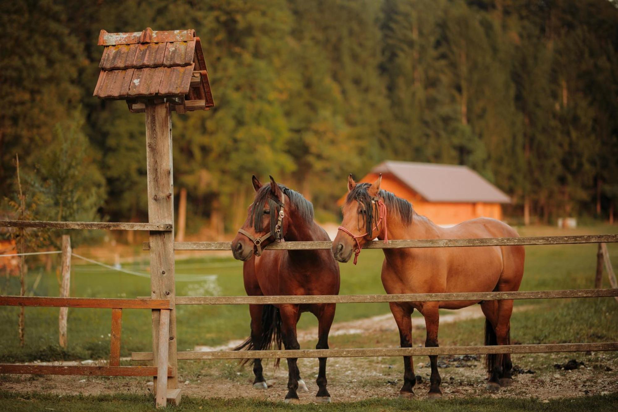 Вілла Ranc Mackadam Ranch Mackadam Тржич Екстер'єр фото